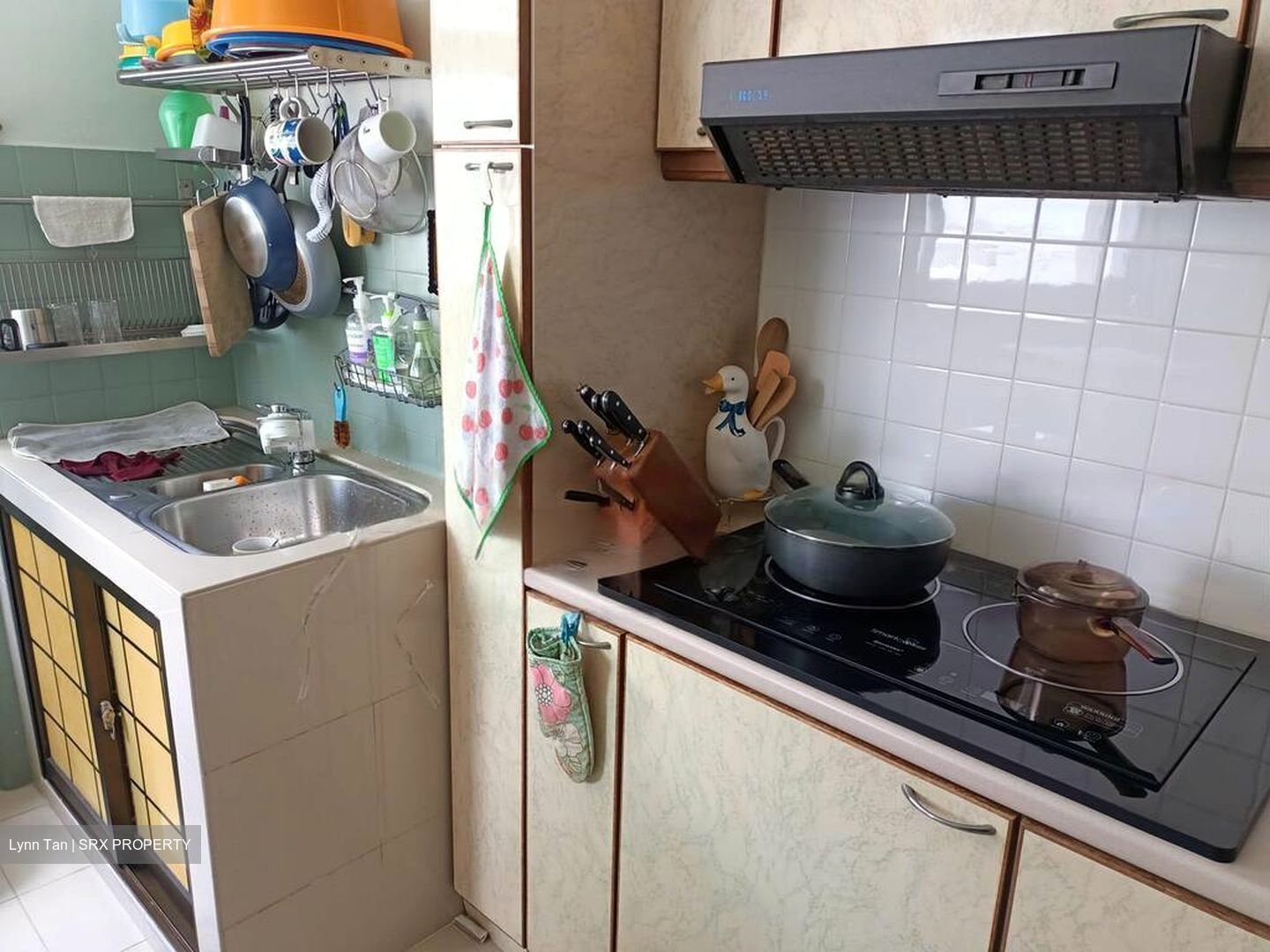 Blk 22 Haig Vista (Geylang), HDB 4 Rooms #578592621